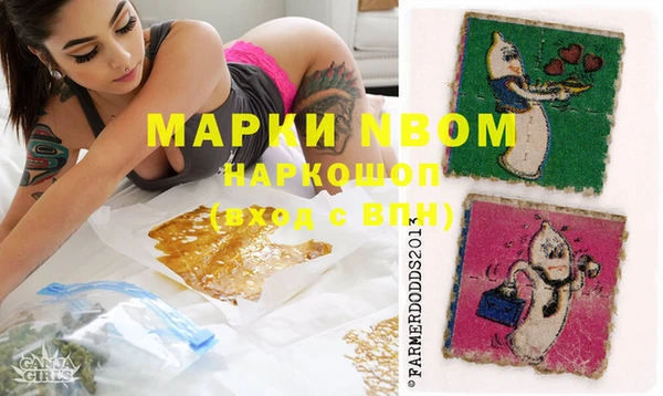 амф Балахна
