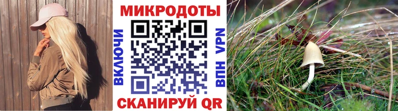 где купить наркоту Барабинск нарко площадка официальный сайт Псилоцибиновые грибы ЛСД