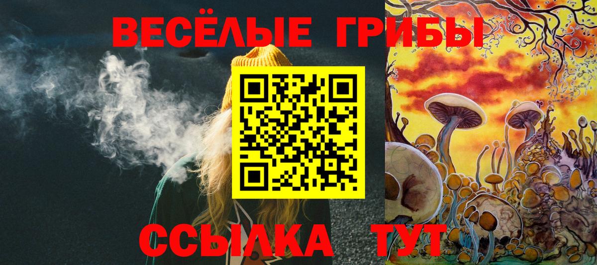 Псилоцибиновые грибы мухоморы Барабинск