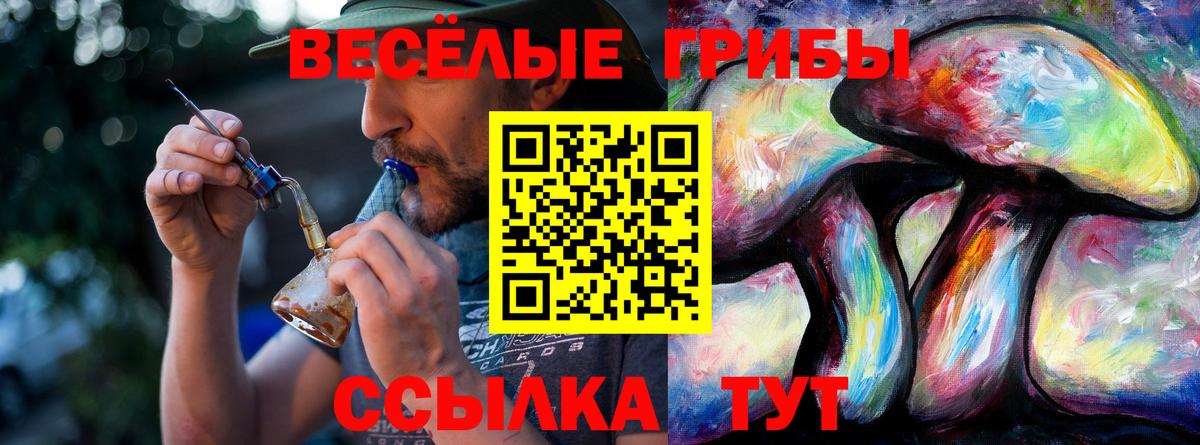 Галлюциногенные грибы MAGIC MUSHROOMS  Вход с VPN  Барабинск  Галлюциногенные грибы мицелий 